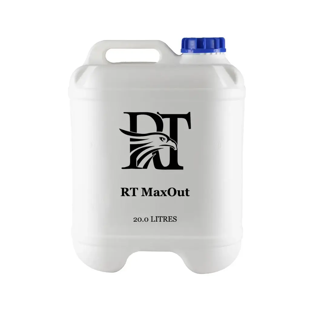 RT MaxOut