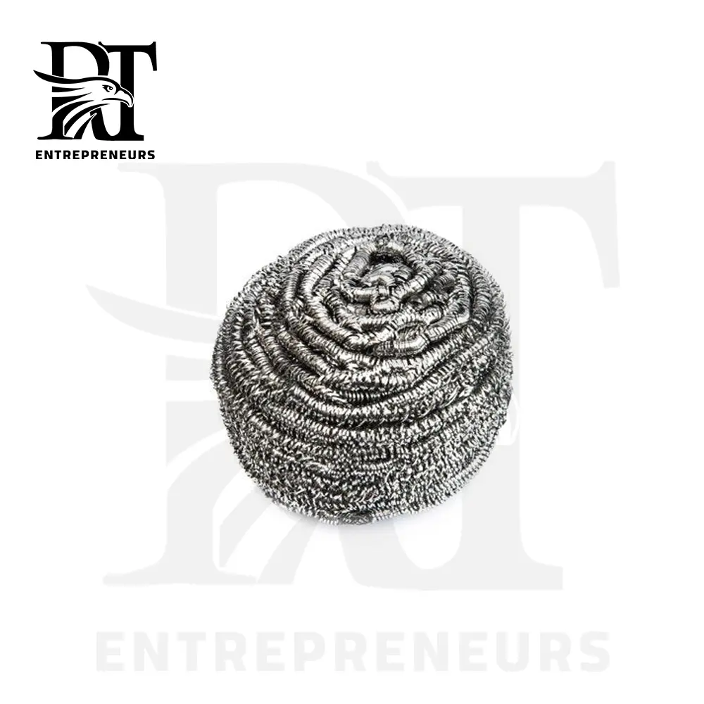 Stainless Steel Scourer