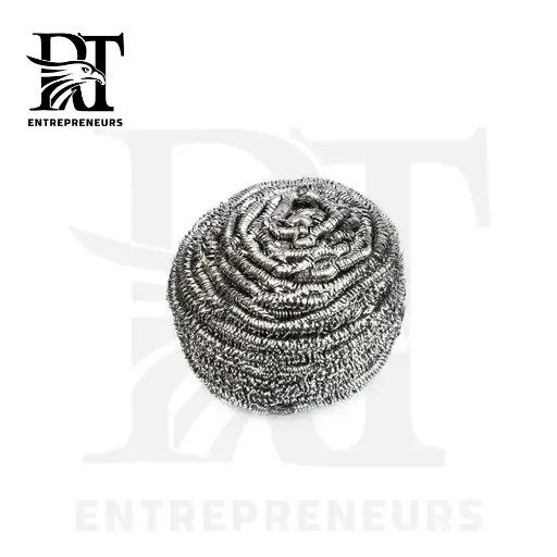 Stainless Steel Scourer